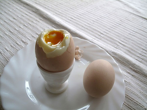 kayısı yumurta