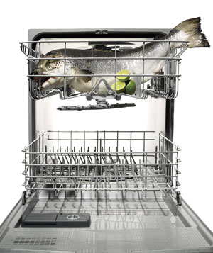salmon-ala-dishwasher