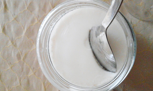 Evde probiyotik yoğurt yapımı