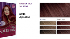 koleston aşk alevi 1