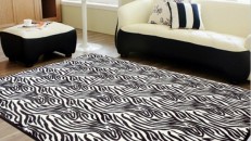 özel tasarım siyah beyaz zebra