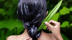 Saç dökülmesi için Aloe Vera ürünleri