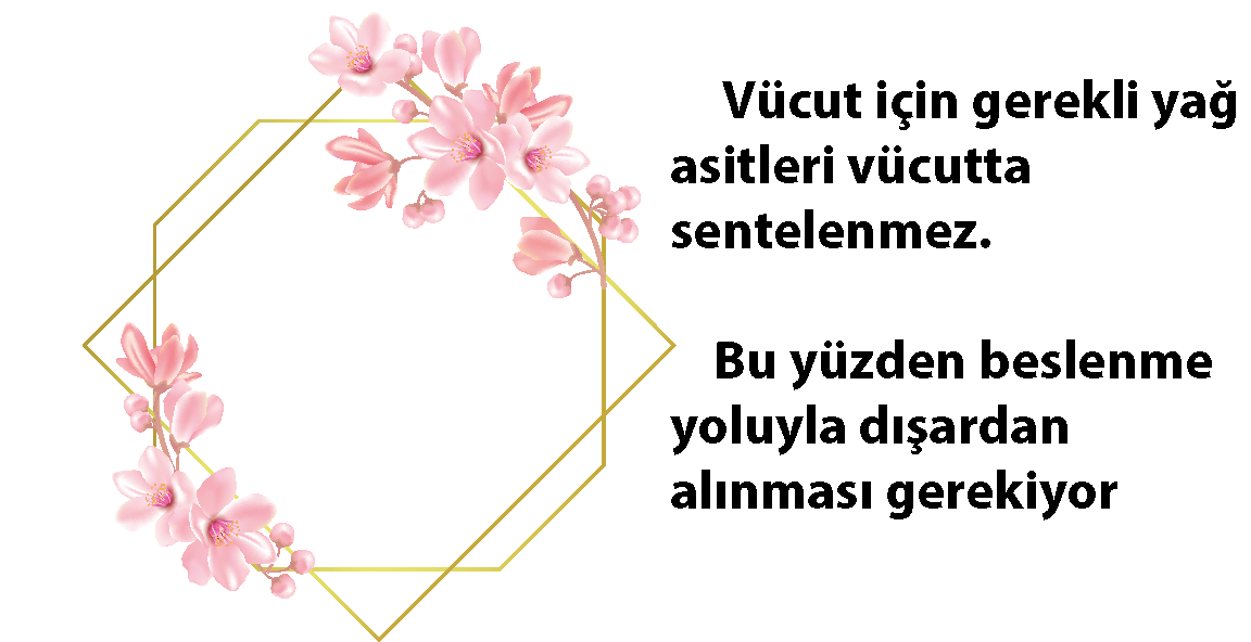 Hamilelikte vitamin alımı