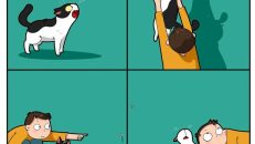 kedi karikatürleri (10)