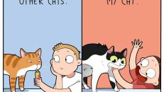 kedi karikatürleri (11)