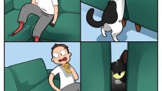 kedi karikatürleri (20)