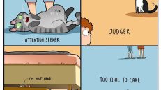 kedi karikatürleri (29)