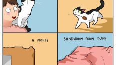 kedi karikatürleri (30)