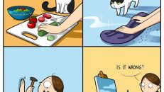 kedi karikatürleri (32)