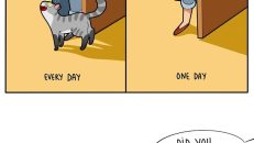 kedi karikatürleri (36)