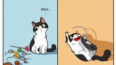 kedi karikatürleri (39)