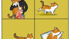 kedi karikatürleri (7)