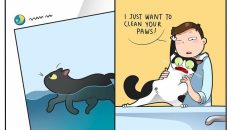 kedi karikatürleri (8)