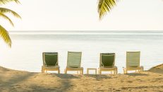 tropical-holiday-beach-banner-2021-08-26-15-27-02-utc-min